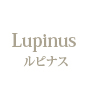 Lupinus 〜ルピナス〜