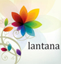 lantana 〜ランタナ〜