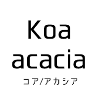 Koa/acacia ロゴマーク